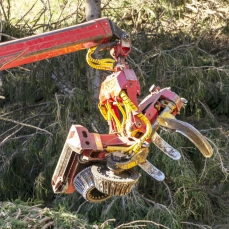 Cantiere di Vaia_aprile 2019_Mascella di processatrice in azione_Foto Nicola Noro
