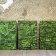 davide mancini zanchi - Quarto, La Sila, Cansiglio - foto giacomo de donà