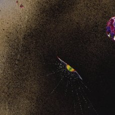 davide zucco, a strange with a message (dettaglio), pittura ad olio, incisione, vernice spray su pannello con foglio di alluminio, 2012 - courtesy dell\'artista