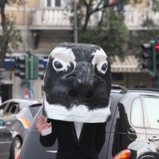 dimitri giannina, h2-on, upokeimenon (trieste), il pinguino marco - foto ufficio immagini comune trieste