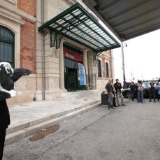 dimitri giannina, h2-on, upokeimenon (trieste), il pinguino marco - foto ufficio immagini comune trieste