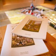 Dimitri Giannina – senza titolo, installazione (Carte Tabacco, magazines, libri, brochures del Museo, modificate, fotocopie, manfanile, roccia), 2012_foto Giacomo De Dona