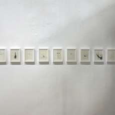 elisa bertaglia_populus_tecnica mista su carta_2011_DC pulse two