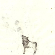 populus_20,5x12,5cm_tecnica mista su carta_2011