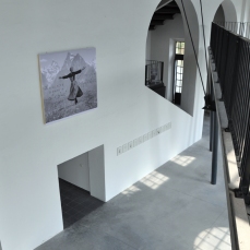 elisa bertaglia_populus_tecnica mista su carta_2011_DC pulse two