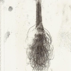 populus_20,5x12,5cm_tecnica mista su carta_2011