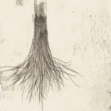 populus_20,5x12,5cm_tecnica mista su carta_2011