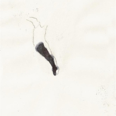 populus_20,5x12,5cm_tecnica mista su carta_2011