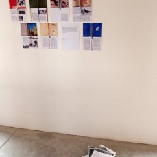 enrico vezzi, gli esseri viventi, 2013, documentazione della performance realizzata sul greto del fiume piave (codissago, 3 settembre) - foto giacomo de donà