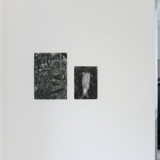 Federica Zanlucchi, Buffer 1; Buffer 2; olio su carta, 2024