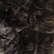 Federica Zanlucchi, Cipit, 150x120 cm, acrilico e olio su carta, 2024