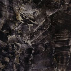 Federica Zanlucchi, Cipit, 150x120 cm, acrilico e olio su carta, 2024