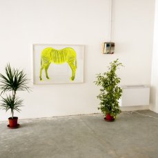 Federico Lanaro, ZEBRA, acrilico su legno, 100x70 cm, 2012