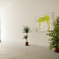 Federico Lanaro, ZEBRA, acrilico su legno, 100x70 cm, 2012