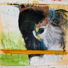 andrea-visentini-asino-pigmenti-su-carta-scenografica-200x200-cm-2011