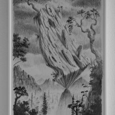 fulvio di piazza, senza titolo, grafite su carta, 29x21 cm, 2011 - foto a. montresor