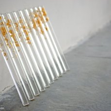 Gianni Moretti_Primo esercizio di approssimazione al grande amore_foglia d\'oro zecchino su plexiglas, dieci elementi di 28x2 cm cad._2010_opera inserita in minima marginalia_foto giacomo de dona