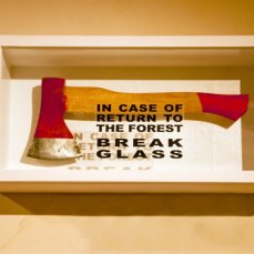 giocando con le regole/play by the rules - fabiano de martin topranin, back to the forest - foto giacomo de dona\'