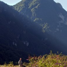 gli esseri viventi_enrico vezzi_dc + naba_fiume piave codissago_foto giacomo de dona