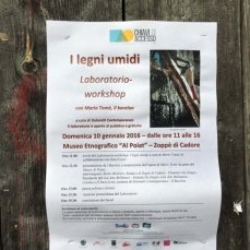 i legni umidi - zoppè di cadore