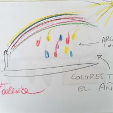 I legni umidi - la costruzione delle idee - Federica - Arco Iris