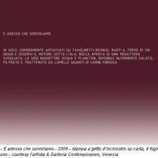 Italo Zuffi, E adesso che sorvoliamo