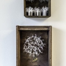 Lara J.Marconi/Triangolo - foto Giacomo De Donà