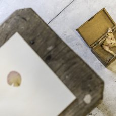 Lara J.Marconi/Diario - foto Giacomo De Donà