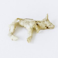 Lara J.Marconi/Senza titolo - foto Giacomo De Donà