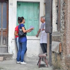 let’s make like a tree. and leaves. un progetto di elisa bertaglia a cura di gianluca d’inca levis casso – 7/14 agosto