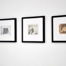 manuele cerutti, matite su carta, 2011, allestimento in una delle navatelle del padiglione pavione, foto e. bertaglia