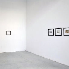 manuele cerutti, matite su carta, 2011, allestimento in una delle navatelle del padiglione pavione, foto e. bertaglia