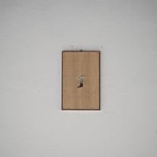 mario tomé, ama la libertà e si ribella quando qualcuno prova in qualsiasi modo a limitarla, installazione, scala in acciaio 900x380 cm, stelle alpine sotto vetro, 44x27,5 cm, dimensioni variabili, 2011, foto a. montresor
