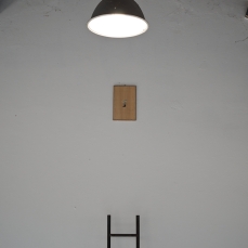 mario tomé, ama la libertà e si ribella quando qualcuno prova in qualsiasi modo a limitarla, installazione, scala in acciaio 900x380 cm, stelle alpine sotto vetro, 44x27,5 cm, dimensioni variabili, 2011, foto a. montresor