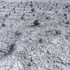 marta allegri, all\'ombra del toc, rete metallica e pietre, 3,40x3,70 mt, 2014 - installazione sulla parete di una casa di casso (dettaglio)- foto giacomo de donà