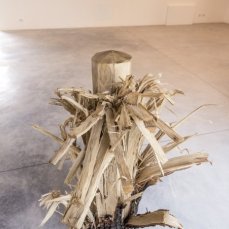 mattia bosco, senza titolo, legno di rovere, 145x70x54 cm, 2014, foto di giacomo de dona\'