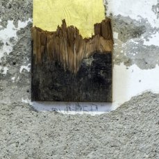 mattia bosco - Icona (Sezione aurea) - foto giacomo de donà