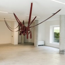 michelangelo penso - esoscheletro,chitina - 2014 foto giacomo de donà