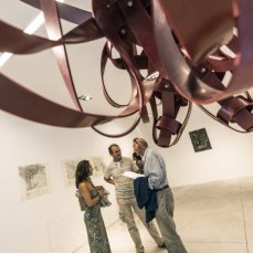 michelangelo penso - esoscheletro, chitina - 2014 foto giacomo de donà