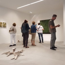 mirko baricchi - sentieri non euclidei - foto: nicola noro