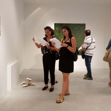 mirko baricchi - sentieri non euclidei - foto: nicola noro