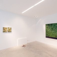 mirko baricchi - selva #52 e #51 - sentieri non euclidei - foto: giacomo de donà