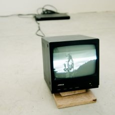 Nicola genovese, Death is only a dream, video, grassello su muro, 2012