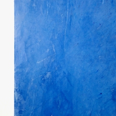 Nicola genovese, Death is only a dream, video, grassello su muro, 2012