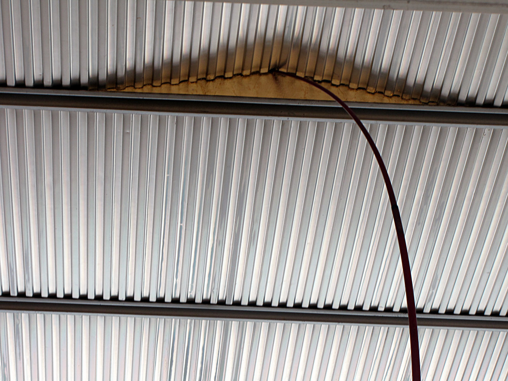 nicola genovese, looking for a new horizon, canna da pesca foglio d\'oro, 2012 (part.)