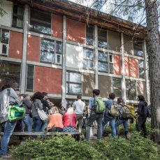 caldo il cielo su borca - 16 maggio 2015 - nel bosco alla colonia tra i padiglioni - foto giacomo de dona\'