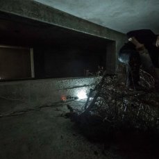 caldo il cielo su borca - 16 maggio 2015 - performance si sandra hauser - foto giacomo de dona\'