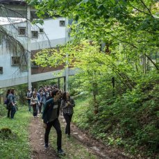 caldo il cielo su borca - 16 maggio 2015 - rampe esterne, colore, itinerario del bosco della colonia - foto giacomo de dona\'