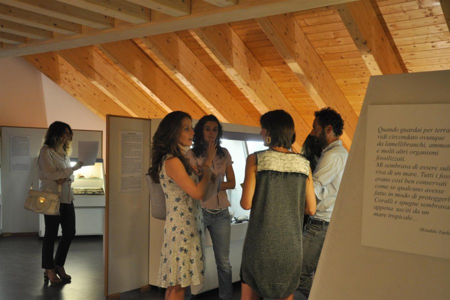 opening \"La cura dello sguardo\"_galleristi e curatori_Museo Paleontologico Rinaldo Zardini di Cortina_foto Elisa Bertaglia