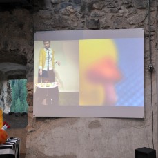 et un\'oseliera et non vi è_opening 10 agosto 2013_COLORA_foto e. bertaglia